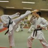 Cours adultes 2009-11-21